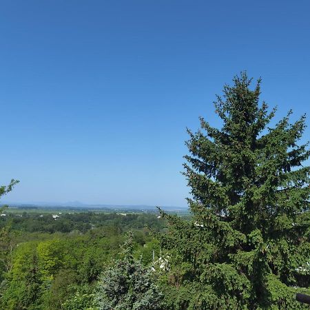 BankaSunset House Piestany Cervena Vezaアパートメント エクステリア 写真