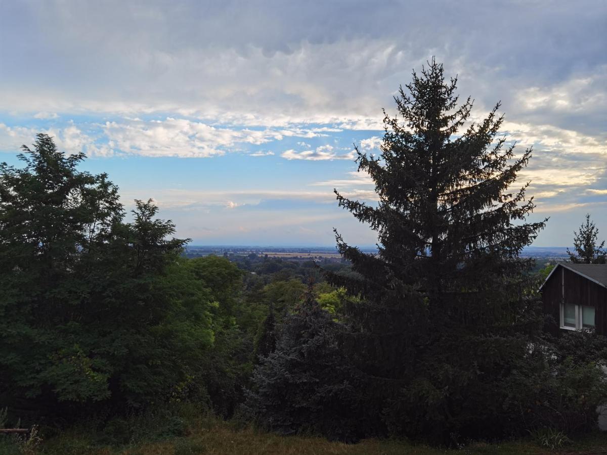 BankaSunset House Piestany Cervena Vezaアパートメント エクステリア 写真