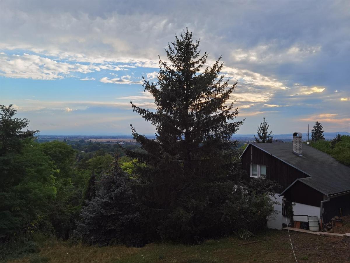 BankaSunset House Piestany Cervena Vezaアパートメント エクステリア 写真